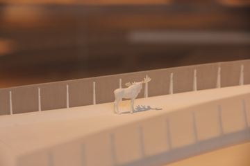 ˹¸Ħ