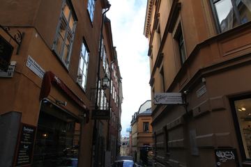 ˹¸Ħ־()