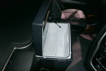ά New Stralisؿ 460 6X2 LNGǣ