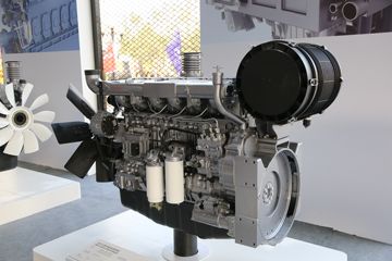 2019ɽ���ع�Ϋ����������