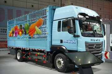 ��������(HOWO)