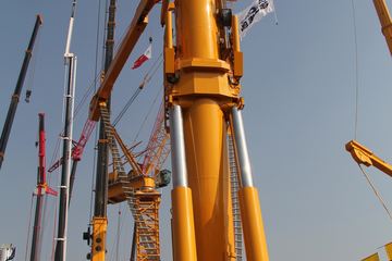 칤 1600ȫػ